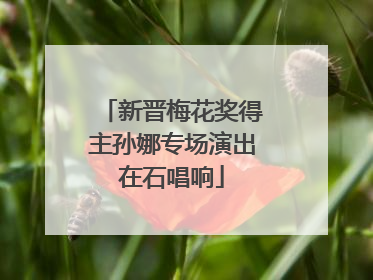 新晋梅花奖得主孙娜专场演出在石唱响