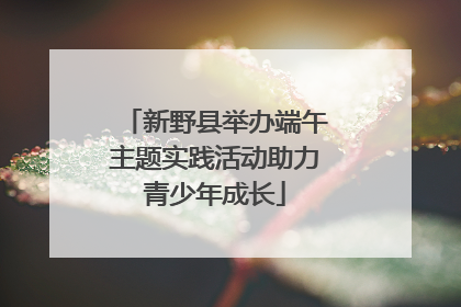 新野县举办端午主题实践活动助力青少年成长