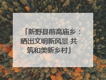 新野县前高庙乡：晒出文明新风景 共筑和美新乡村