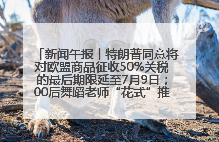 新闻午报丨特朗普同意将对欧盟商品征收50%关税的最后期限延至7月9日；00后舞蹈老师“花式”推介家乡岳阳>>