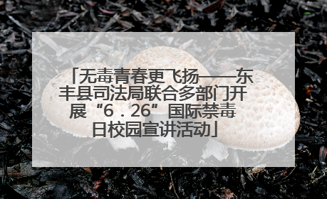 无毒青春更飞扬——东丰县司法局联合多部门开展“6．26”国际禁毒日校园宣讲活动