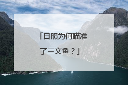 日照为何瞄准了三文鱼？