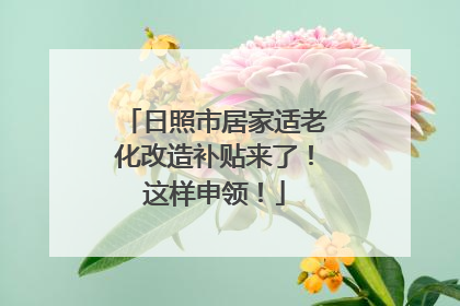 日照市居家适老化改造补贴来了！这样申领！