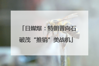 日媒爆：特朗普向石破茂“推销”美战机