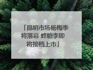 昆明市场杨梅季将落幕 蜂糖李即将接档上市