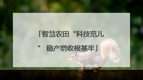 智慧农田“科技范儿” 稳产增收根基牢