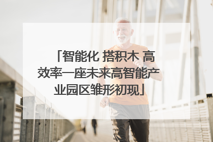 智能化 搭积木 高效率一座未来高智能产业园区雏形初现