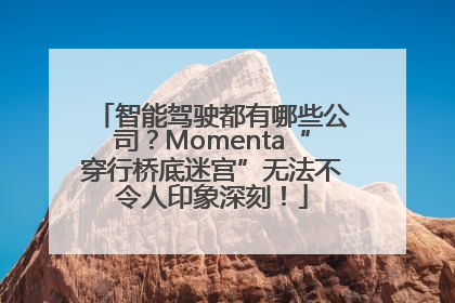 智能驾驶都有哪些公司？Momenta“穿行桥底迷宫”无法不令人印象深刻！