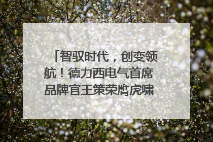 智驭时代，创变领航！德力西电气首席品牌官王策荣膺虎啸奖年度品牌人物