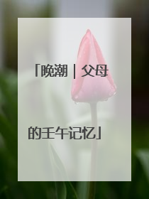 晚潮｜父母的壬午记忆