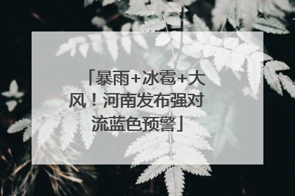 暴雨+冰雹+大风！河南发布强对流蓝色预警