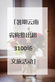 暑期云南省将推出超3100场文旅活动