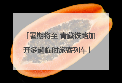 暑期将至 青藏铁路加开多趟临时旅客列车