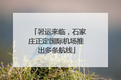 暑运来临，石家庄正定国际机场推出多条航线