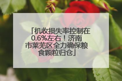 机收损失率控制在0.6%左右！济南市莱芜区全力确保粮食颗粒归仓