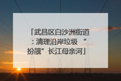 武昌区白沙洲街道：清理沿岸垃圾 “扮靓”长江母亲河