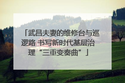 武昌夫妻的维修台与巡逻路 书写新时代基层治理“三重变奏曲”