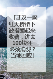 武汉一网红大桥桥下被指圈起来收费，进去100块还必须消费？当地回应
