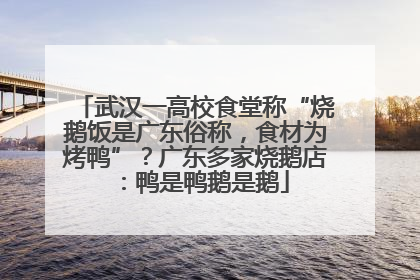 武汉一高校食堂称“烧鹅饭是广东俗称，食材为烤鸭”？广东多家烧鹅店：鸭是鸭鹅是鹅