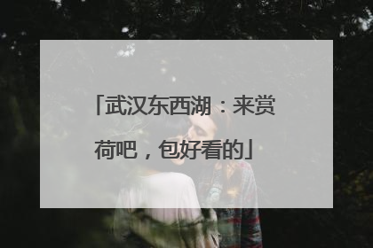 武汉东西湖：来赏荷吧，包好看的