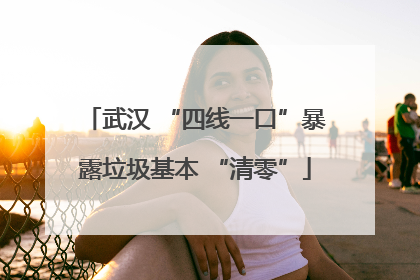 武汉 “四线一口”暴露垃圾基本 “清零”