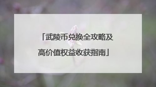 武陵币兑换全攻略及高价值权益收获指南