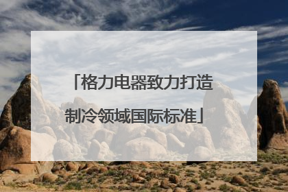 格力电器致力打造制冷领域国际标准