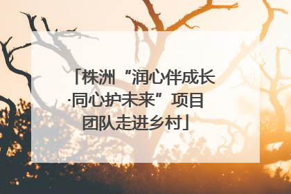 株洲“润心伴成长·同心护未来”项目团队走进乡村