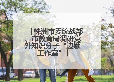 株洲市委统战部、市教育局调研党外知识分子“边颖工作室”