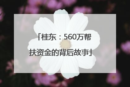 桂东：560万帮扶资金的背后故事