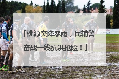 桃源突降暴雨，民辅警奋战一线抗洪抢险！