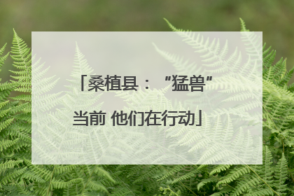 桑植县：“猛兽”当前 他们在行动
