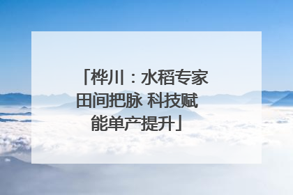 桦川：水稻专家田间把脉 科技赋能单产提升
