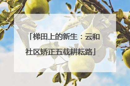 梯田上的新生：云和社区矫正五载耕耘路