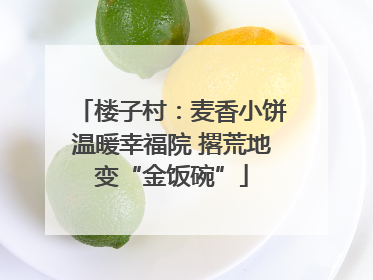 楼子村：麦香小饼温暖幸福院 撂荒地变“金饭碗”