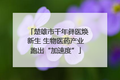 楚雄市千年彝医焕新生 生物医药产业跑出“加速度”