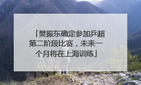 樊振东确定参加乒超第二阶段比赛，未来一个月将在上海训练