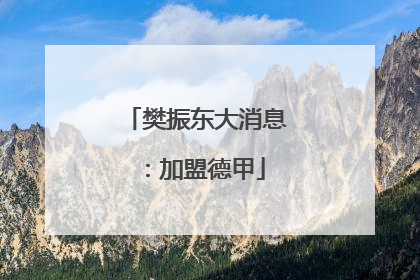 樊振东大消息：加盟德甲