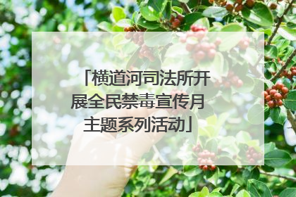 横道河司法所开展全民禁毒宣传月主题系列活动