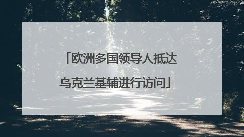 欧洲多国领导人抵达乌克兰基辅进行访问