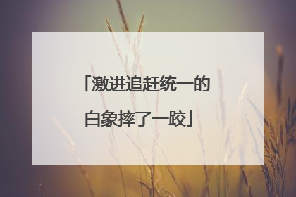 激进追赶统一的白象摔了一跤