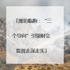 潍坊临朐：“三个导向”引领财会监督走深走实