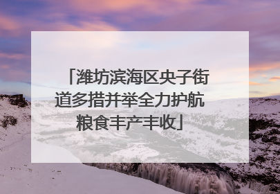 潍坊滨海区央子街道多措并举全力护航粮食丰产丰收