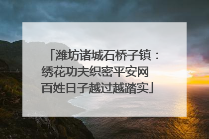 潍坊诸城石桥子镇：绣花功夫织密平安网 百姓日子越过越踏实