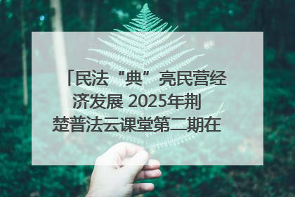 民法“典”亮民营经济发展 2025年荆楚普法云课堂第二期在武汉客厅开讲