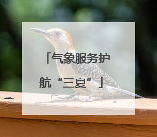 气象服务护航“三夏”