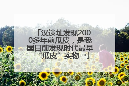 汉遗址发现2000多年前瓜皮，是我国目前发现时代最早“瓜皮”实物→