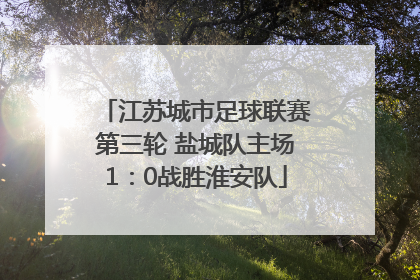 江苏城市足球联赛第三轮 盐城队主场1：0战胜淮安队