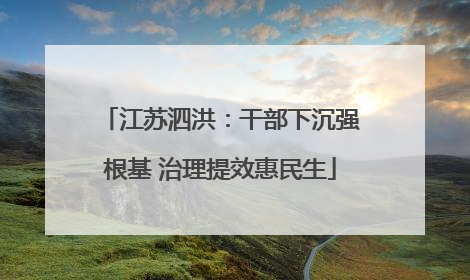 江苏泗洪：干部下沉强根基 治理提效惠民生