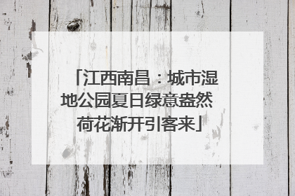 江西南昌：城市湿地公园夏日绿意盎然 荷花渐开引客来